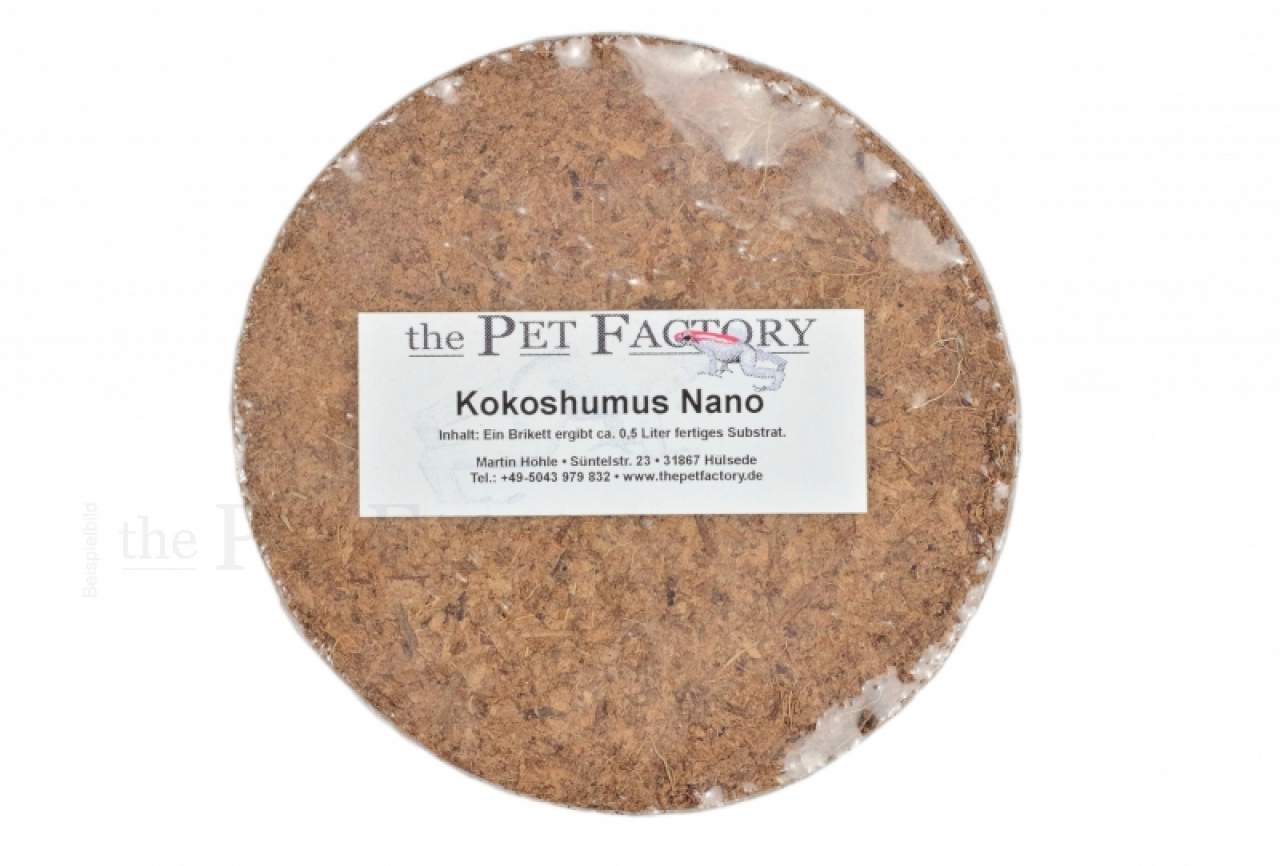 Kokoshumus